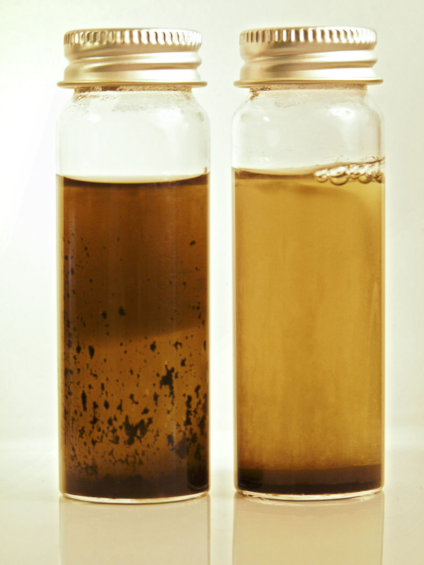 DRCM from Lab M inoculated with; LEFT: Clostridium sporogenes RIGHT: Clostridium perfringens